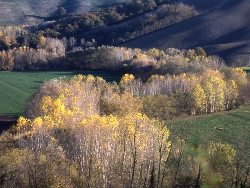 campagna toscana