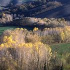 campagna toscana