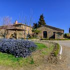 Campagna toscana