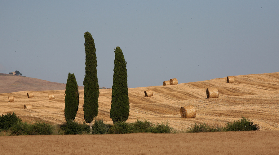 campagna toscana