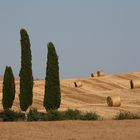 campagna toscana