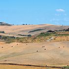 Campagna toscana in Val d'Orcia