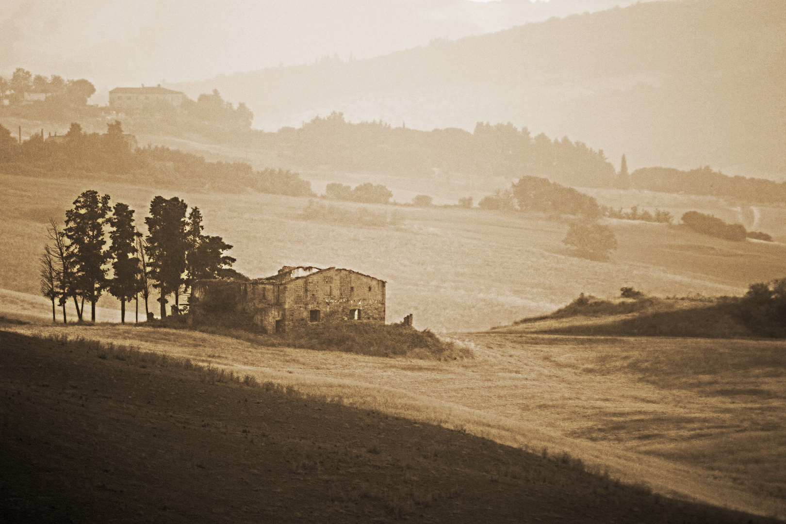 Campagna Toscana (Vecchio Casale)
