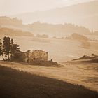 Campagna Toscana (Vecchio Casale)