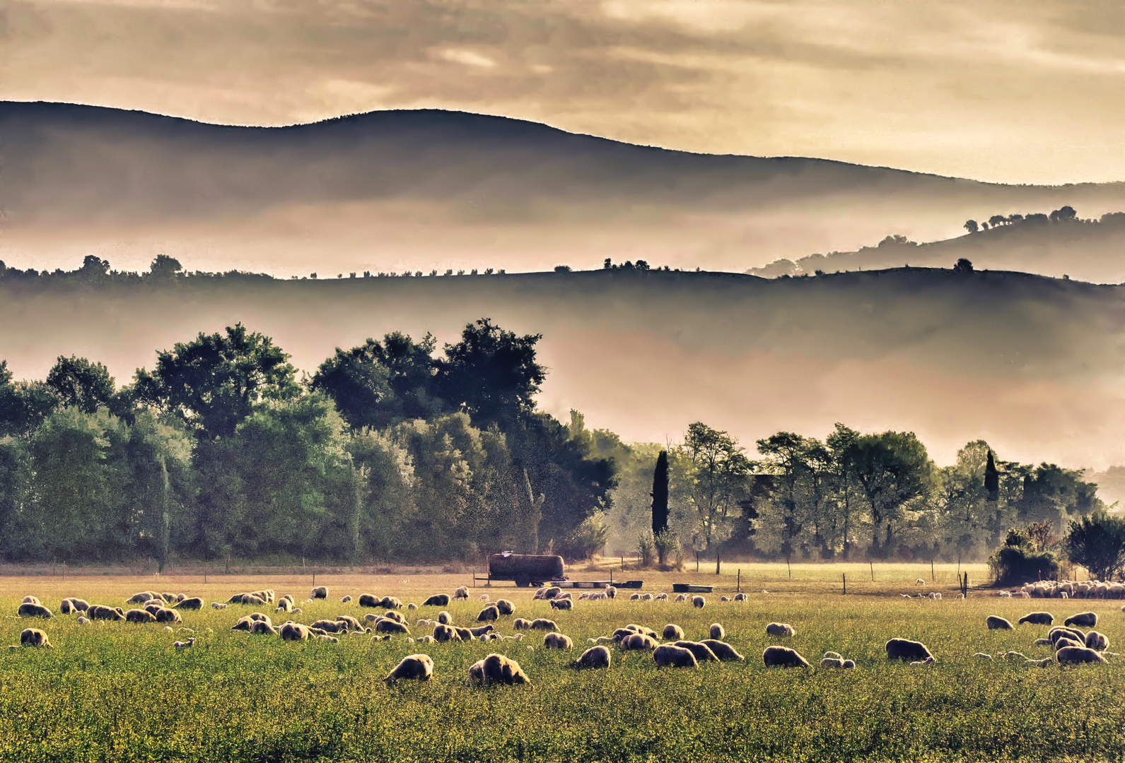 Campagna umbra