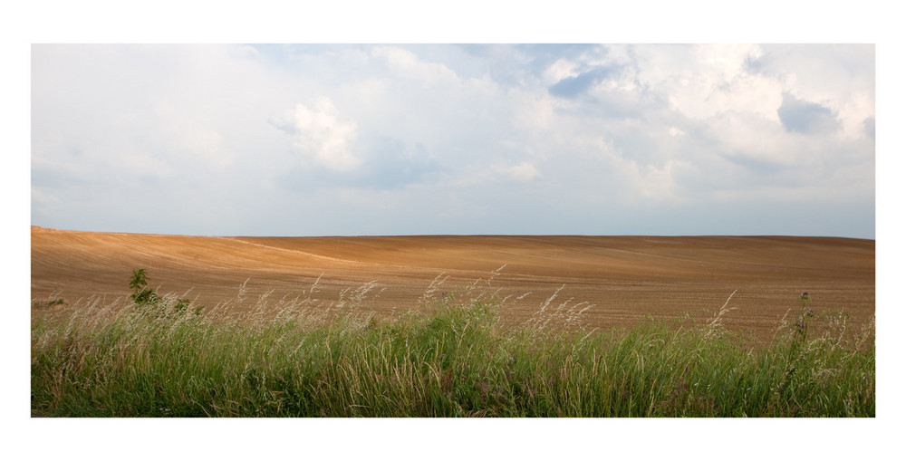 campagna valdichiana (arezzo)