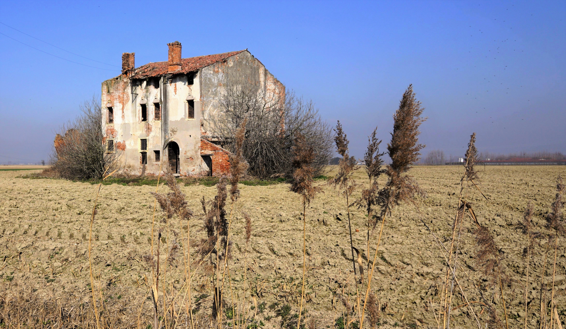 Campagna veneta