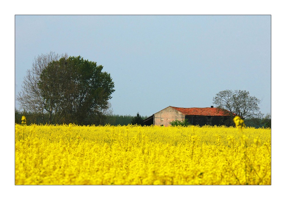 campagna ...VENETA.