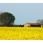 campagna ...VENETA.