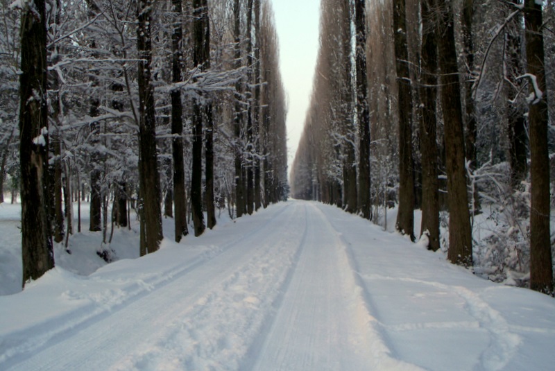 Campagna Veneta