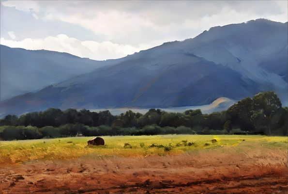 campagna1720jpg  __COUNTRY LANDSCAPE__