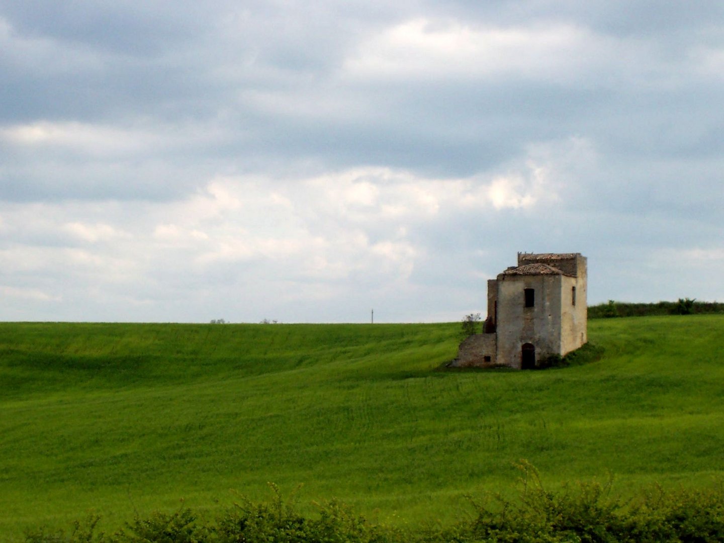 CAMPAGNA2 DI IRSINA