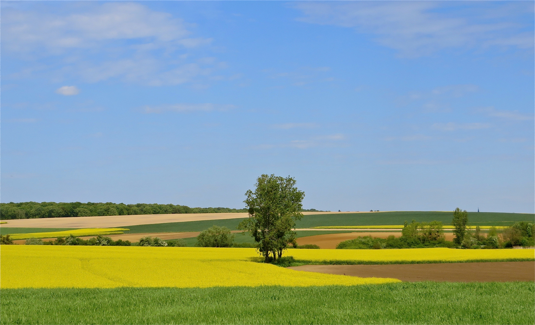 ...campagne !!!...