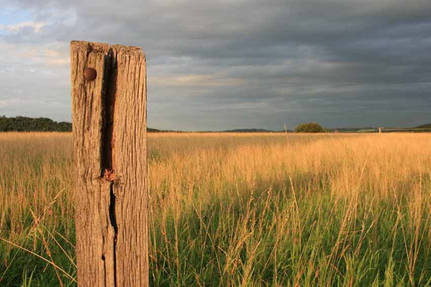 Campagne.