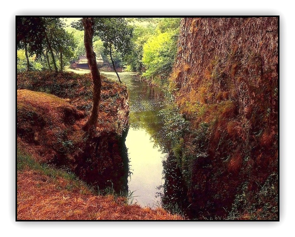 Campagne alsacienne Bas-Rhin