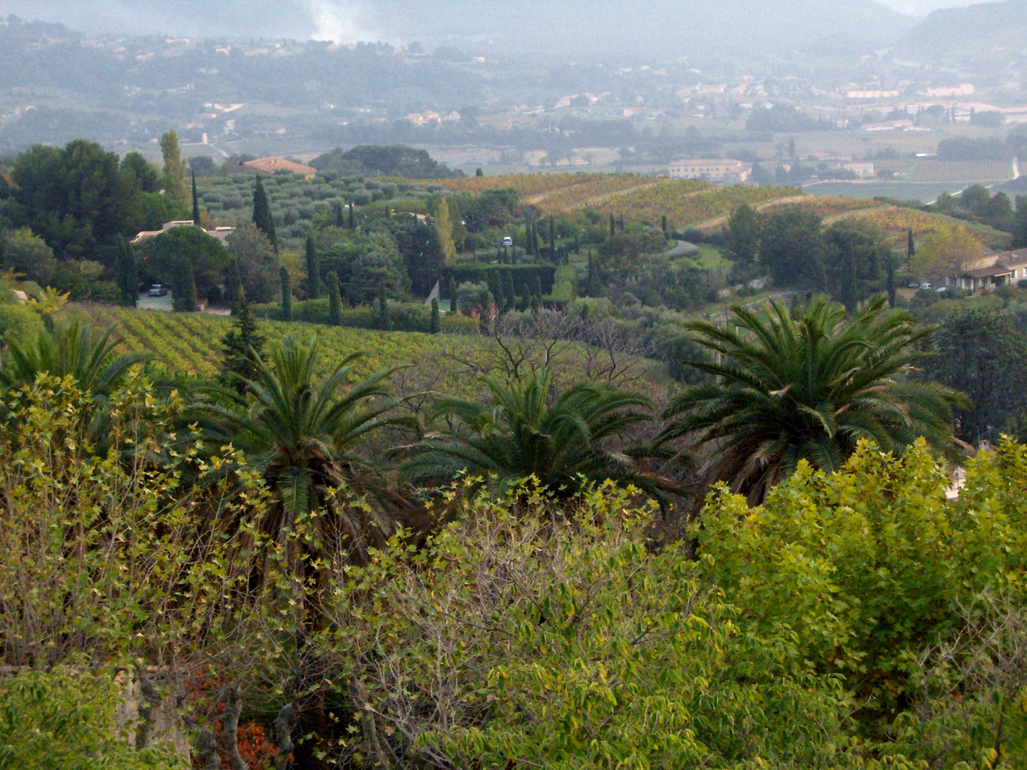 Campagne au Castelet dans le Var