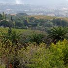 Campagne au Castelet dans le Var