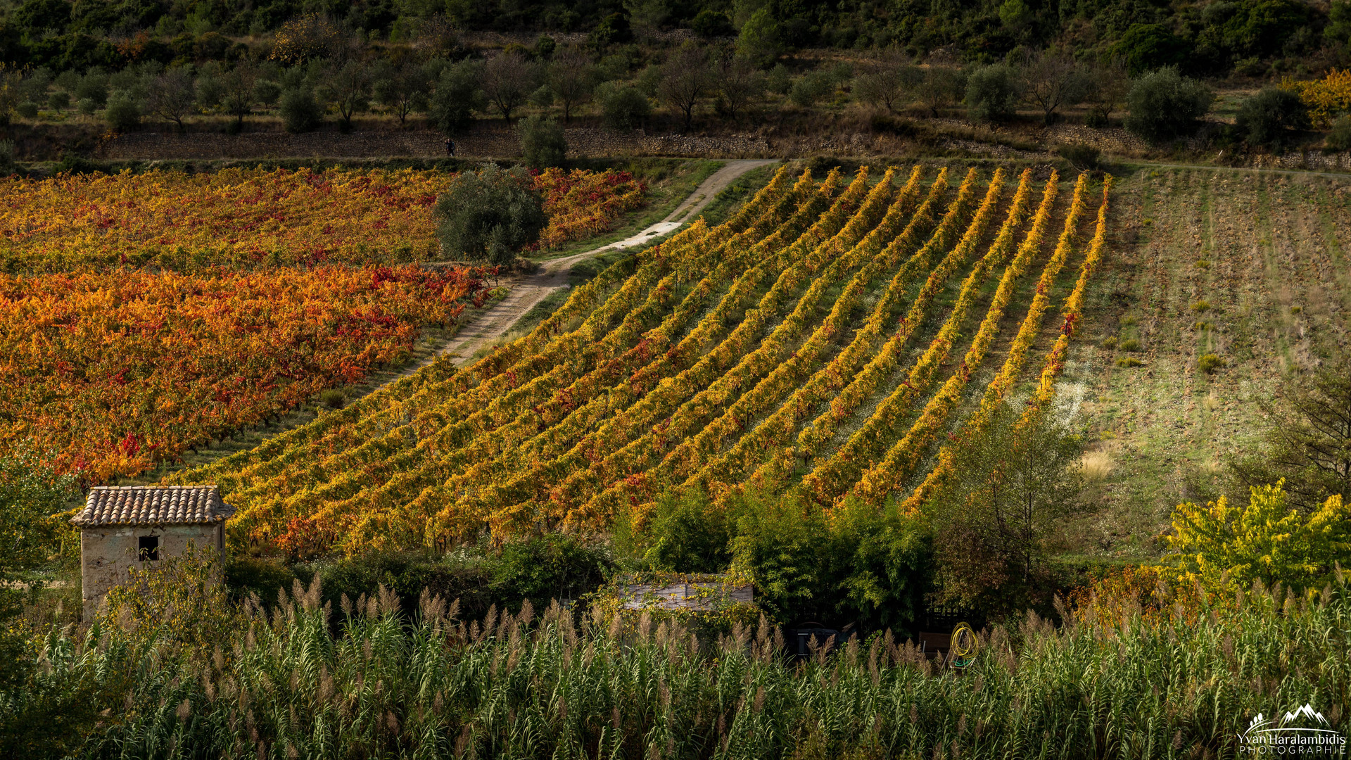 Campagne Audoise-01