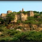 Campagne autour de Jaïpur 