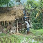 campagne balinaise