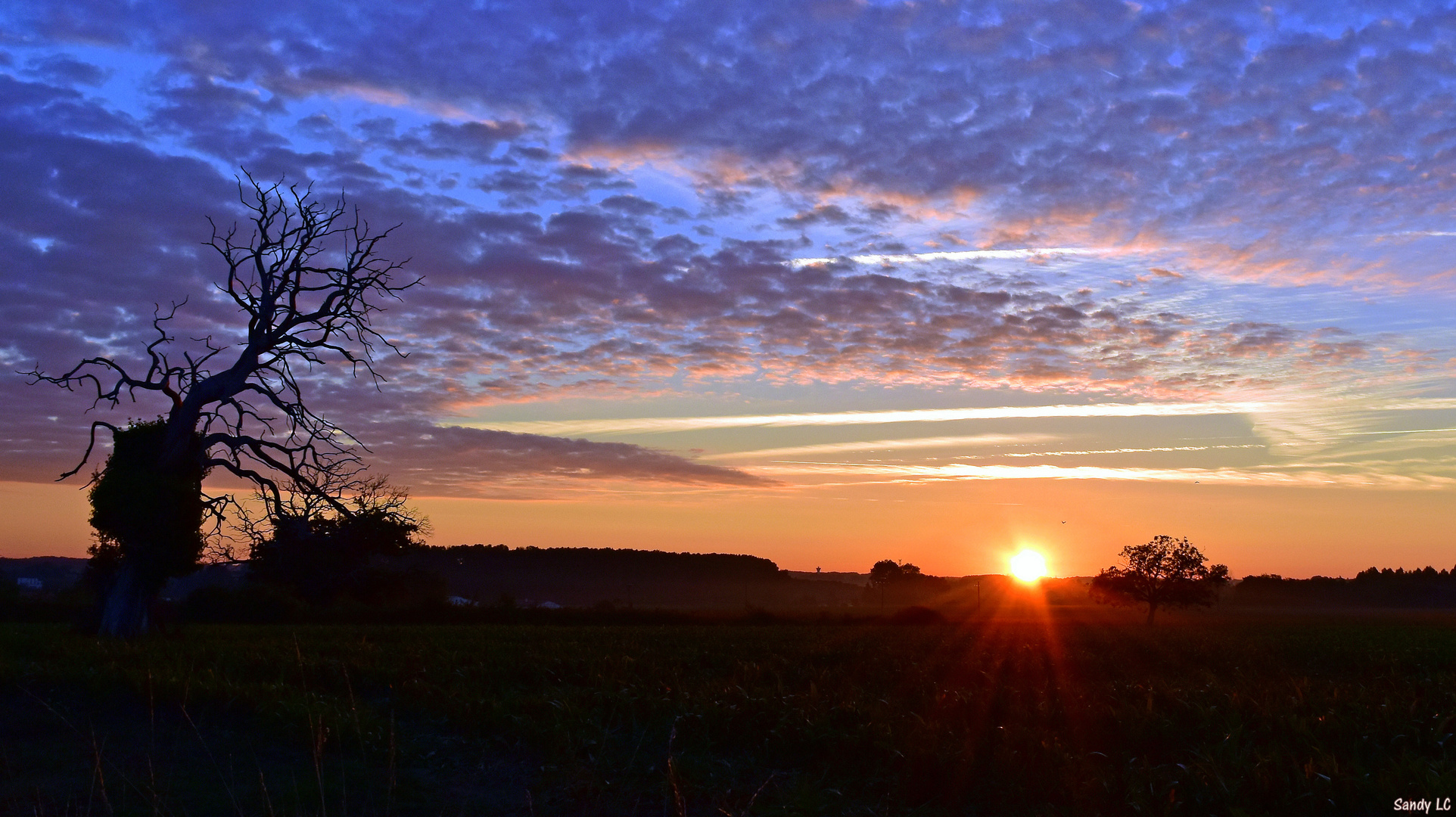 Campagne