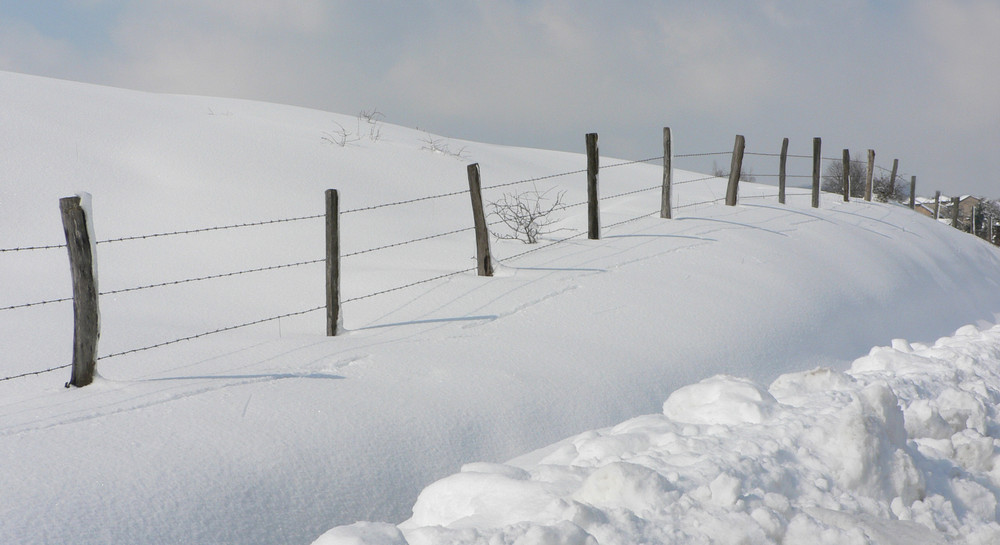 CAMPAGNE BLANCHE . . . de Nicolas DONNET 