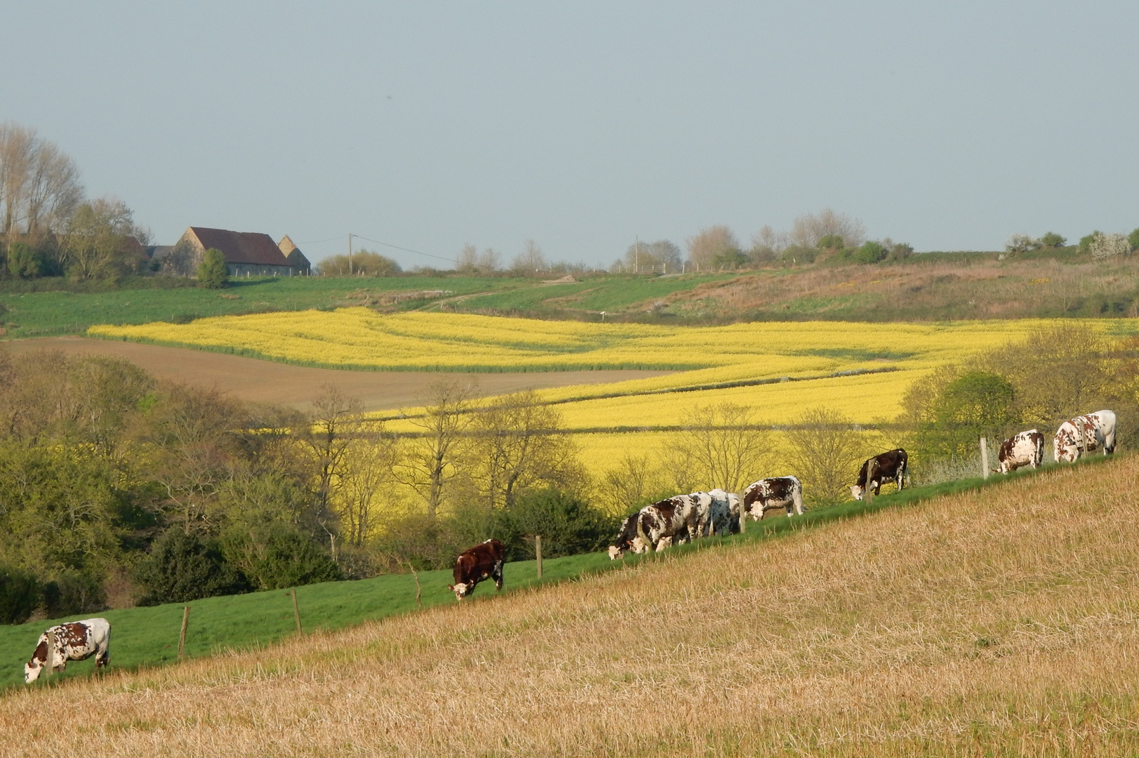 Campagne boulonnaise