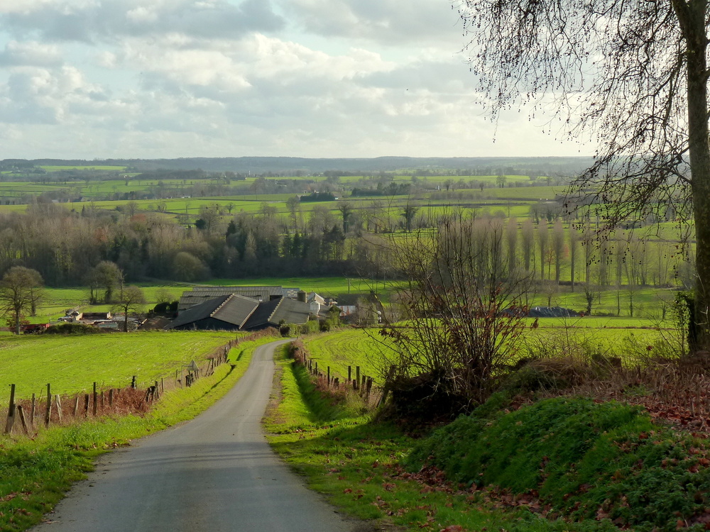 Campagne bretonne sous un rayon de soleil .