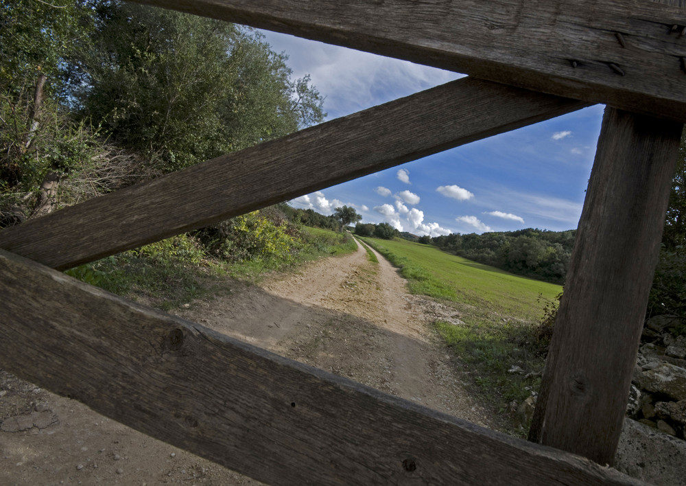 Campagne Cardinali