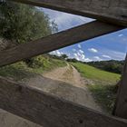 Campagne Cardinali