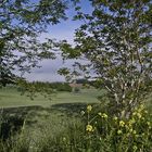 Campagne condomoise au printemps  --  Landschaft nahe Condom im Frühling