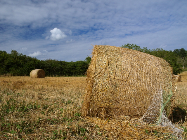 campagne corezienne