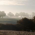 Campagne dans la brume !