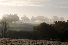 Campagne dans la brume !