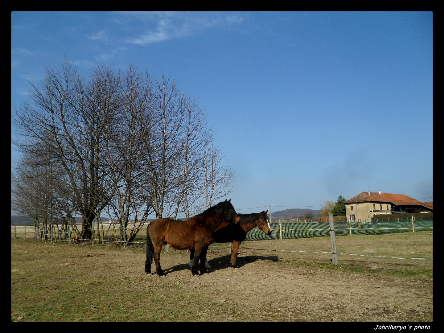 Campagne dauphinoise, le 3 mars 2012