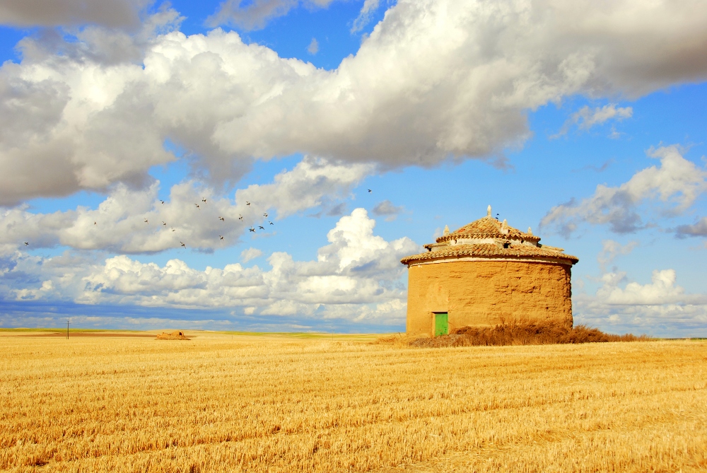 Campagne de Burgos