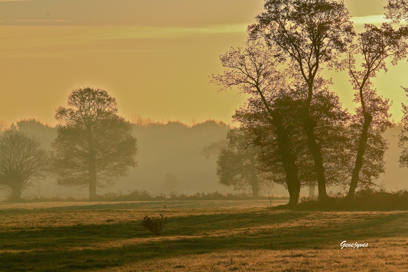 Campagne Doloise