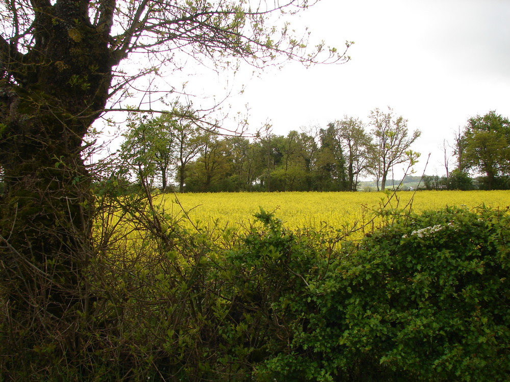 campagne du bocage