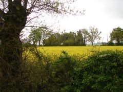 campagne du bocage