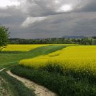 Campagne du Jorat, Suisse.