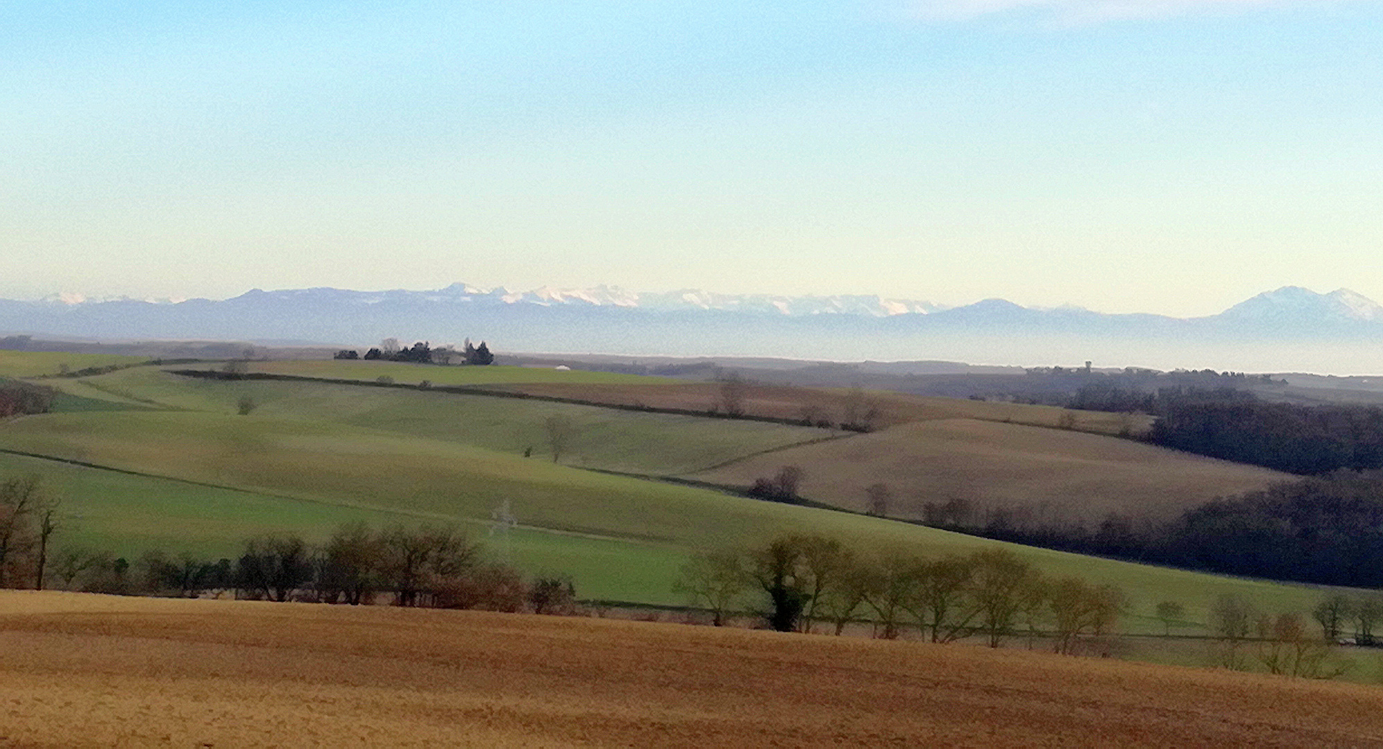 Campagne du Minervois