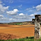 Campagne du Vexin normand à l'ouverture du printemps