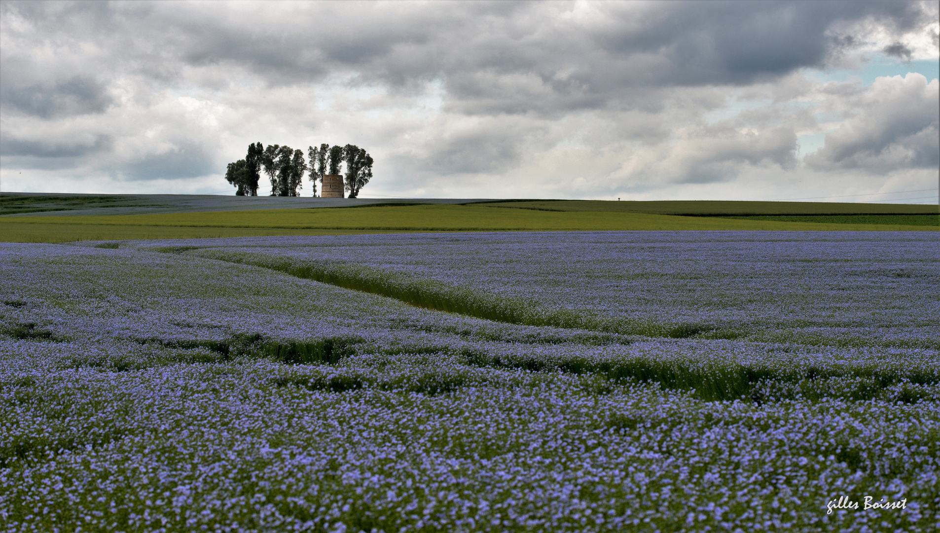 Campagne du Vexin normand au printemps