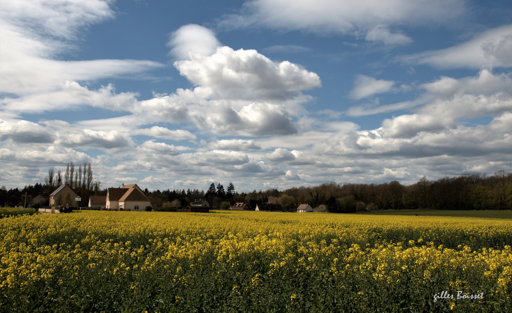 Campagne du Vexin normand au printemps