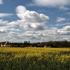 Campagne du Vexin normand au printemps