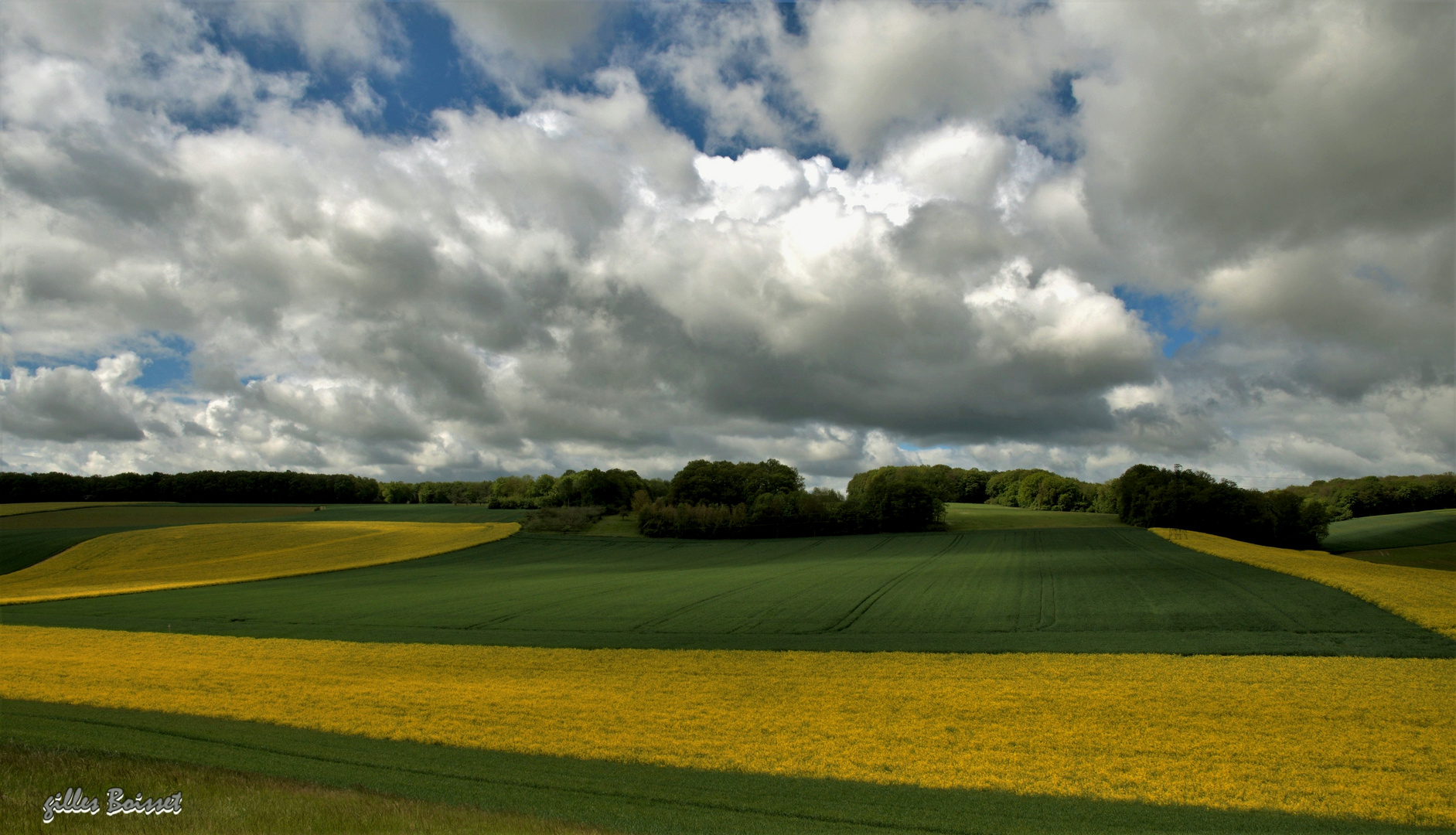 Campagne du Vexin normand au printemps