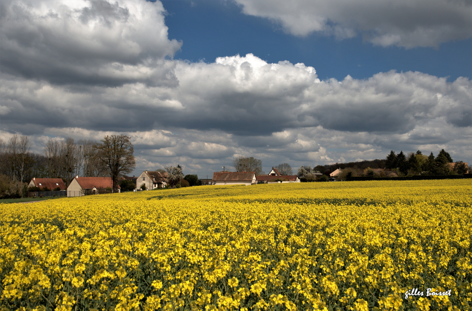 Campagne du Vexin normand au printemps