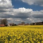 Campagne du Vexin normand au printemps