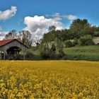 Campagne du Vexin normand au printemps