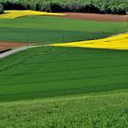 Campagne du Vexin normand au printemps